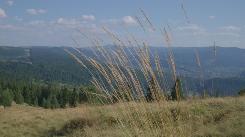 Scenic Mountain Landscape with Tall Dry Grass in Foreground