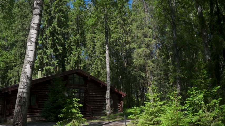 A wooden house in a green forest