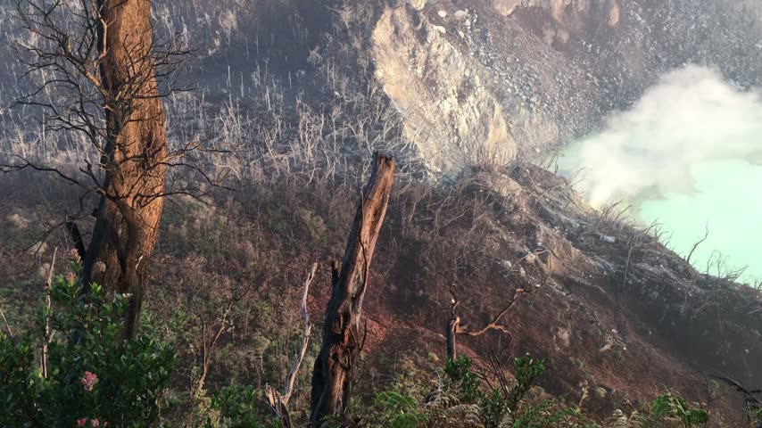 A volcanic crater lake with smoke emissions and burnt trees on a rocky mountain slope from a past eruption.