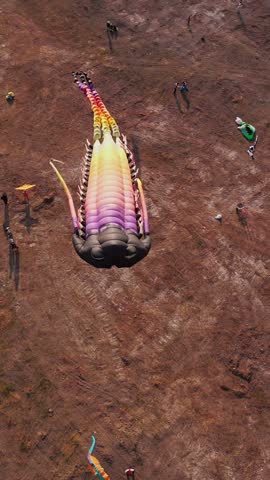 Aerial Top View Giant Rainbow Trilobite Kite Flying Low Over Field At Kite Festival Drone Shot