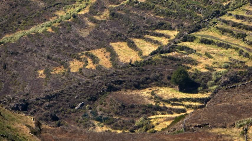 Zooming Out over Colca Valley with Agricultural Terraces and Andean Mountains, Peru