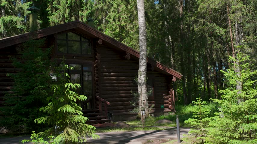 A wooden house in a green forest