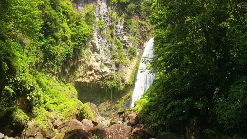Camera slowly moves forward approaching Victoria Falls cascading down mossy rock cliff framed by lush green foliage in tropical rainforest of Dominica