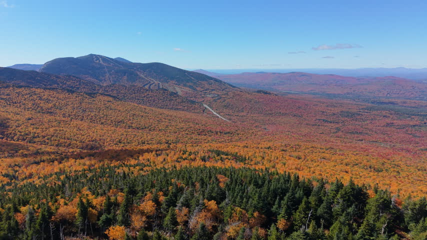 Vast woods with vibrant fall foliage and a distant mountain in White Mountains, New Hampshire. Aerial forward