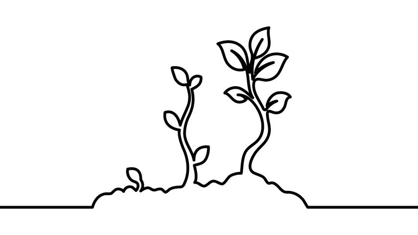 Growing plant one line art editable stroke vector illustration. Depicting a growing plant one line art with editable stroke. Clean vector illustration showing a botanical design.
