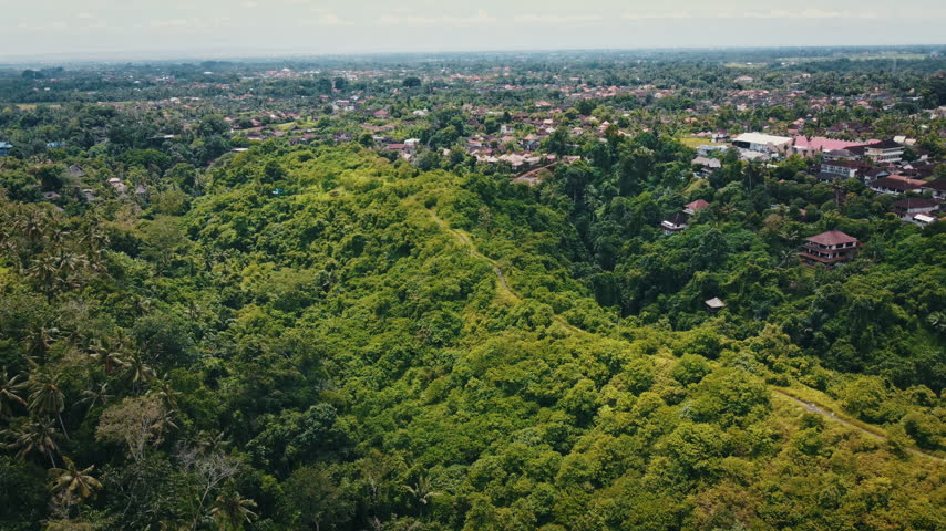 Tree-covered ridge and deep jungle ravine run toward a wide Bali village filled with compact houses and scattered villas.