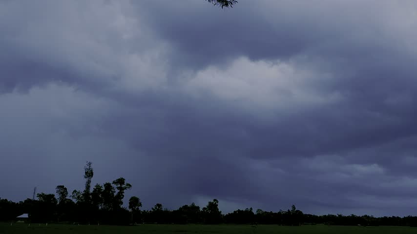 White clouds drifting across a blue sky above lush green treetops