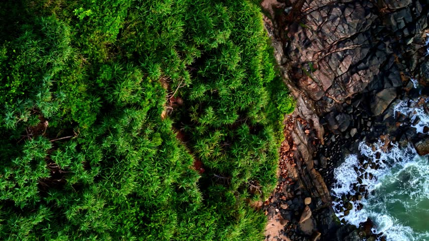 Aerial view of lush green vegetation meeting rocky cliffs and ocean waves at Madiha Beach in Matara, Southern Province, Sri Lanka.