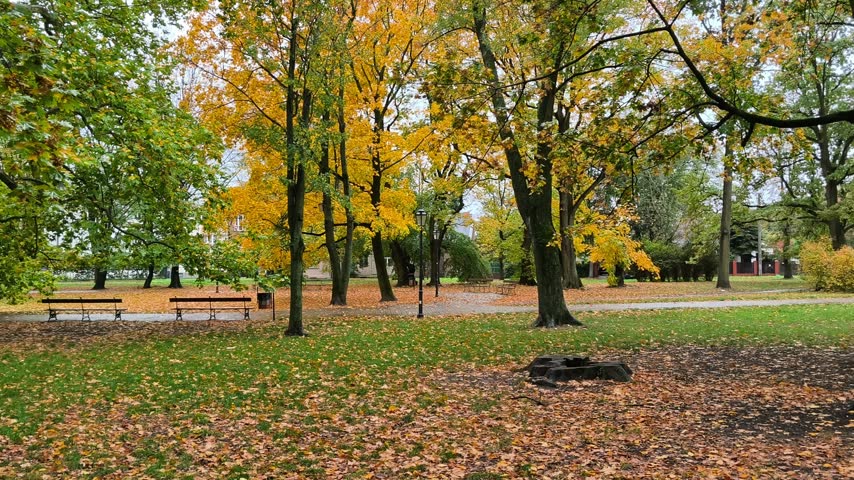 Scenic autumn park landscape with fallen yellow leaves and empty wooden benches