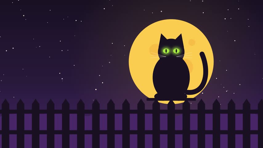Black Cat On Fence Moon