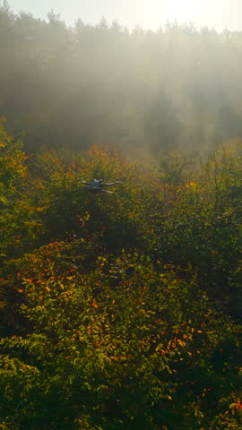 Drone flying over an autumn foggy forest, aerial view captured by another drone.