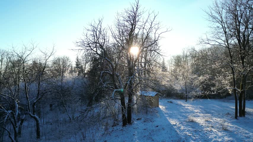 Aerial view of a serene winter landscape showcasing snow-covered trees and a small shed illuminated by sunlight filtering through branches, capturing the tranquil beauty of nature in a snowy setting