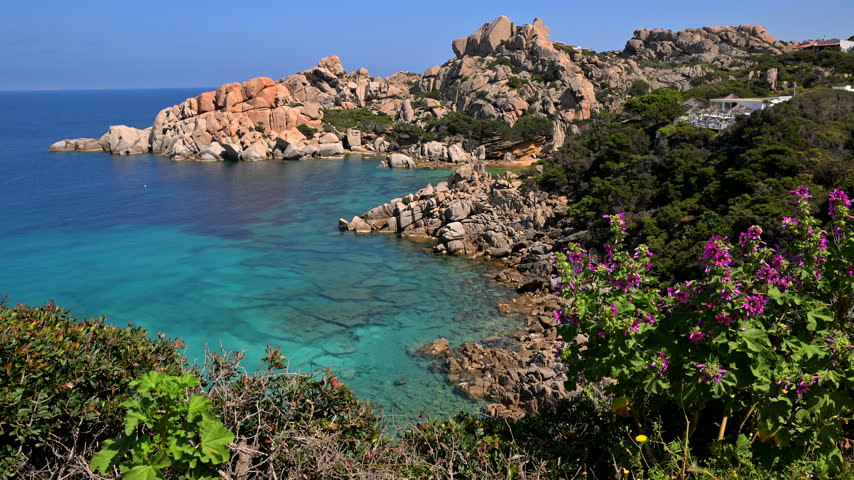 Clear blue water fills a cove surrounded by pale sculpted rocks with flowering shrubs in the foreground.