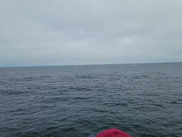 Choppy gray sea viewed from the rail of a red tour boat in Kenai Fjords National Park, Alaska