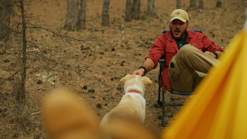 Labrador puppy receives petting from a man in a folding chair at a forest campsite, then walks away. Low-angle POV footage captures their outdoor bonding.
