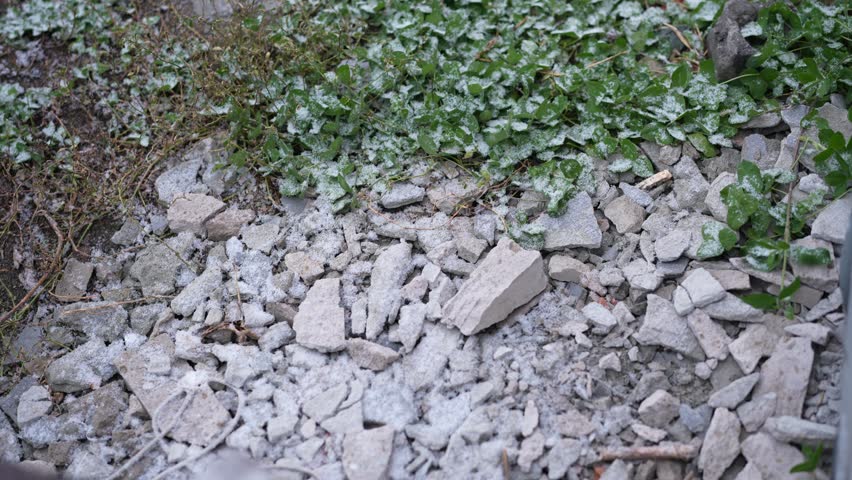 Winter landscape with frosty concrete rubble and green vegetation
