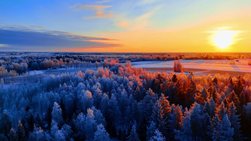 Flight over the snow-covered trees in the woods lit with orange light of sunset. Beautiful wilderness in winter season.