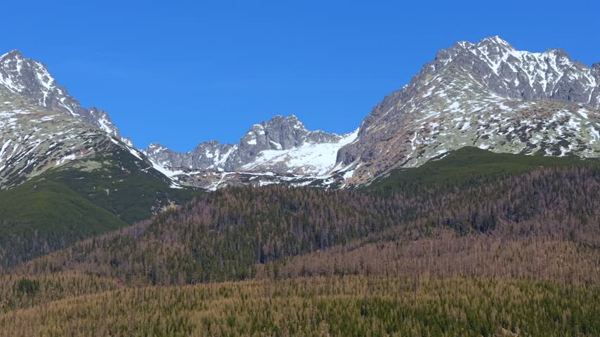 Aerial view of the High Tatras mountain range in Slovakia. Majestic rocky peaks covered with snow overlooking a vast coniferous forest
