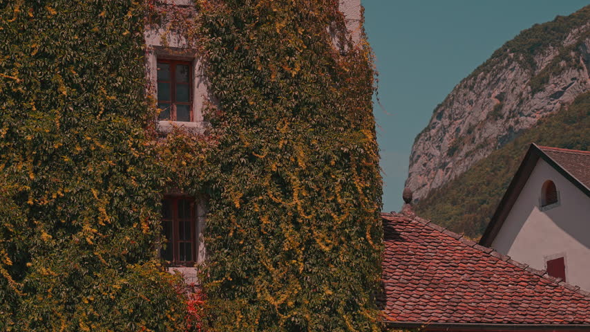 Close-up of a Beautiful Ivy-Covered Stone Building Against the French Alps near Annecy, France