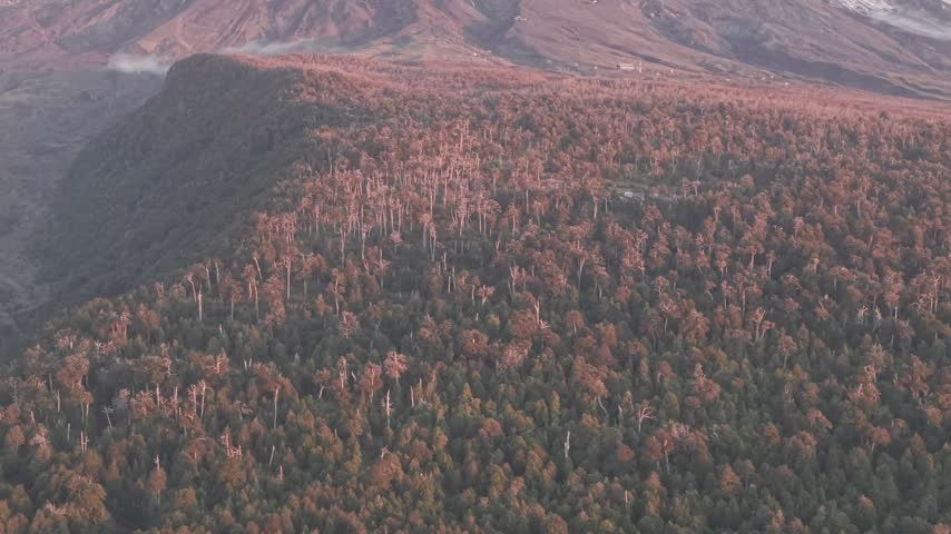 Alpenglow on Villarrica volcano above autumn forest, aerial
