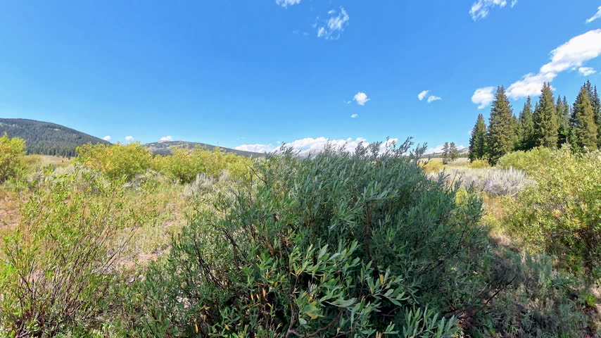 Rising from Sage to Electric Peak in Yellowstone National Park