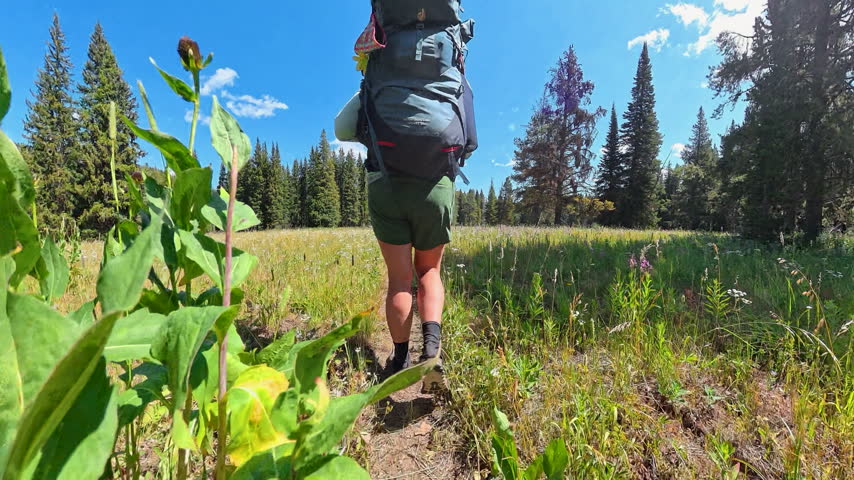 Rising from Sage to Electric Peak in Yellowstone National Park