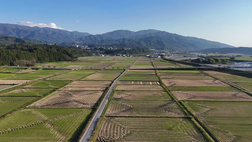 A farm track cuts through a wide patchwork of rectangular golden brown fields with a mountain ridge in the distance.