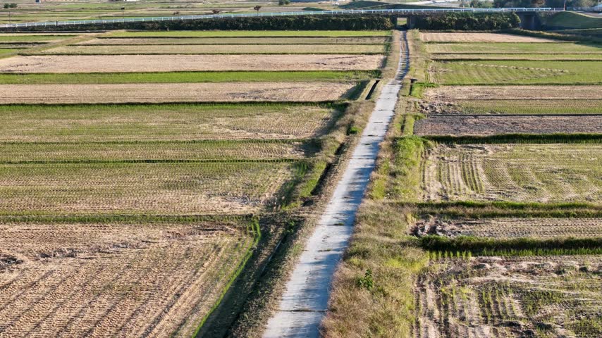 A long straight road divides agricultural plots showing parallel harvest rows and contrasting green edges.