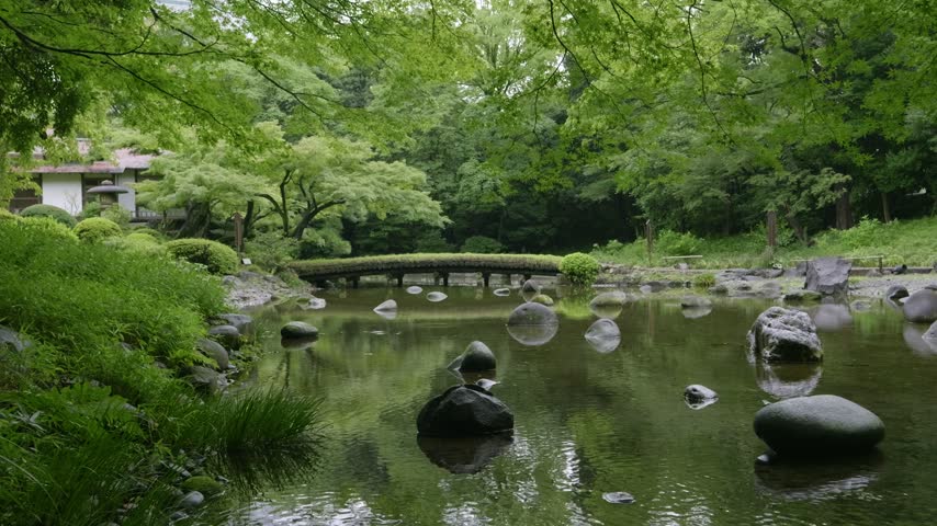 Low angle view of pond at Japanese landscape garden with lush greenery