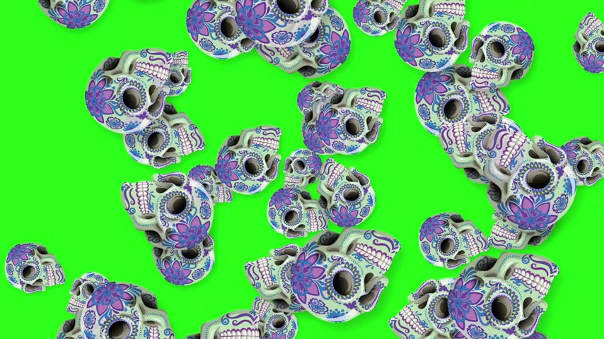 Mexican sugar skulls with purple floral patterns fall continuously against a green chroma key background.