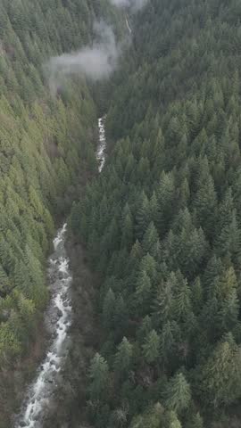 Cascade Falls in a misty forested river valley, Mission BC — aerial view