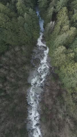 Cascade Creek winding through forest canopy near Cascade Falls, BC — aerial view