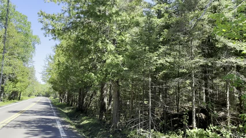 A paved road near Copper Harbor Michigan runs beside tall trees and green summer foliage with double yellow lines white edge markings utility poles and patches of shade under a blue sky.