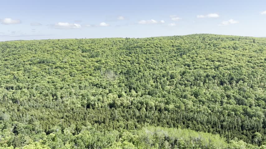 Panoramic view from Brockway Mountain Overlook in Michigan pans across dense green forest and rolling hills to reveal a distant lake beneath scattered clouds.