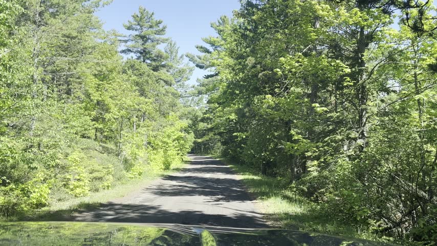 Forward view from a moving vehicle along a narrow forest road near Brockway Mountain Overlook in Michigan with sunlight and tree shadows across the road.