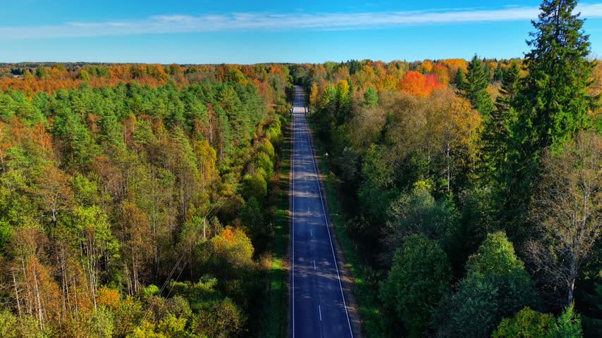 Long winding asphalt road cutting through vibrant autumn forest with mixed trees