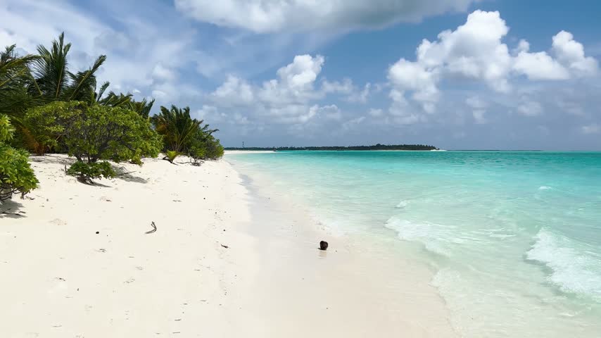 Empty tropical beach with palm trees and turquoise water