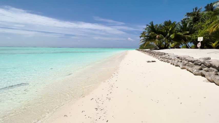 Empty tropical beach with turquoise water and palm trees