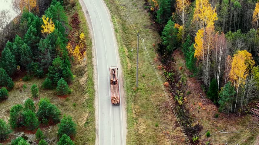 Truck transporting logs along winding road surrounded by vibrant autumn trees and water