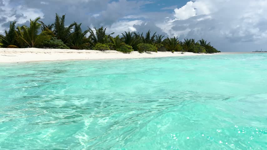 Tropical beach with turquoise water and palm trees