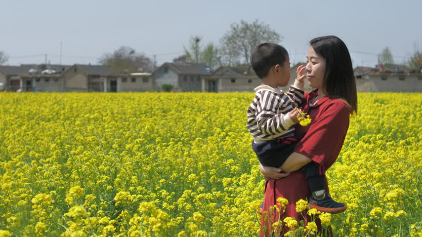 Chinese mother and child blowing bubbles in rapeseed field