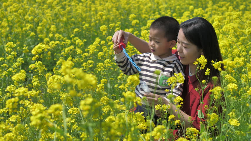 Chinese mother and child blowing bubbles in rapeseed field