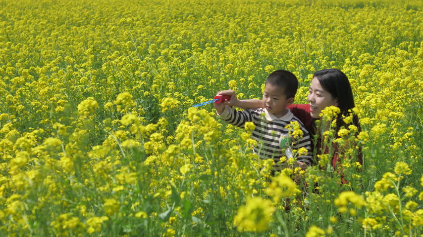 Chinese mother and child blowing bubbles in rapeseed field