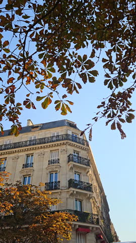 Vertical low angle shot looking up at a corner Haussmann building with classic balconies framed by yellowing autumn chestnut tree branches against blue sky in Paris.