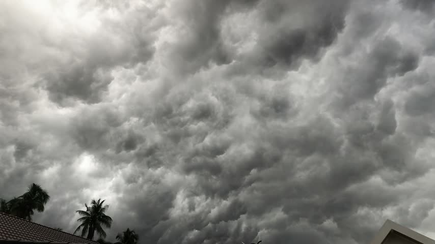 Dark storm clouds above palm trees and rooftops.