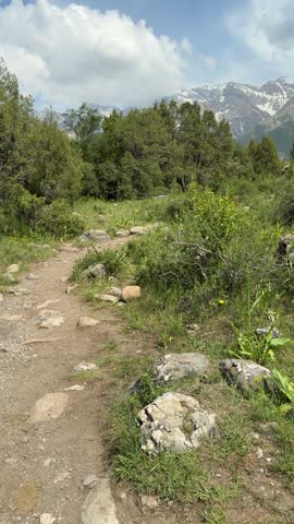 Mountain trail winds through greenery. Rocks and soil line the path. Distant snow-capped peaks rise behind trees. Sky shows scattered clouds. Wildflowers dot the trailside