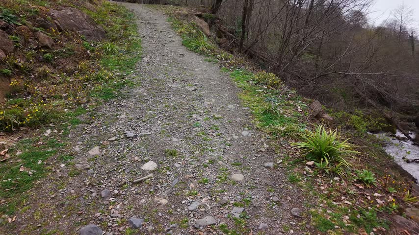 A fast forward-moving point-of-view shot along a narrow dirt trail through an autumn forest near Ohtamis Waterfall, capturing the natural surroundings and rugged path.