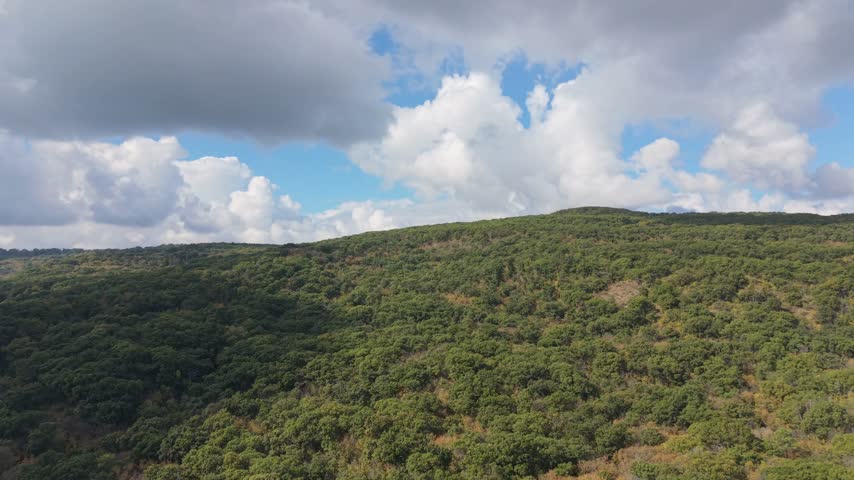  Mountain ridge rises above green woodland beneath a moody cloud filled sky.