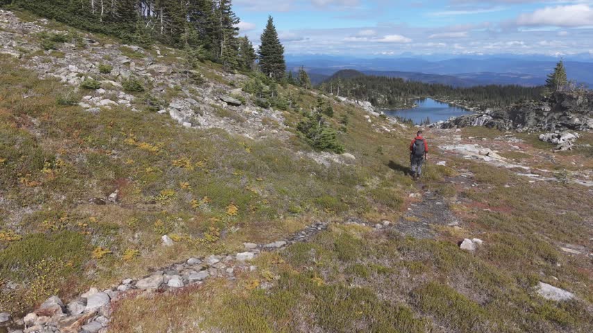 A lone hiker moves along a rugged subalpine trail on Trophy Mountain in Wells Gray Provincial Park, British Columbia, Canada, among scattered rocks, conifers and alpine ponds.