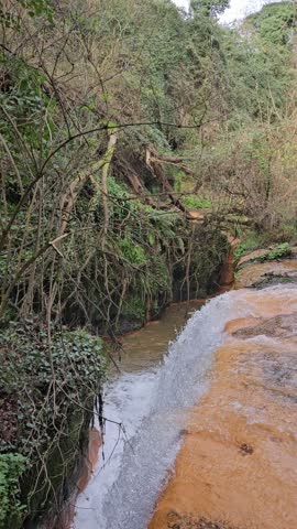 Small forest stream with mineral-rich orange water, mossy rock, and green ferns on the riverbank in nature.